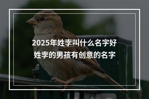 2025年姓孛叫什么名字好 姓孛的男孩有创意的名字