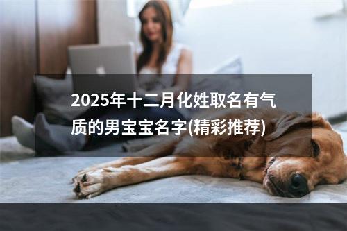 2025年十二月化姓取名有气质的男宝宝名字(精彩推荐)