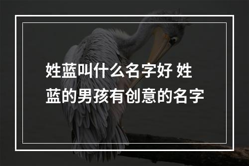姓蓝叫什么名字好 姓蓝的男孩有创意的名字
