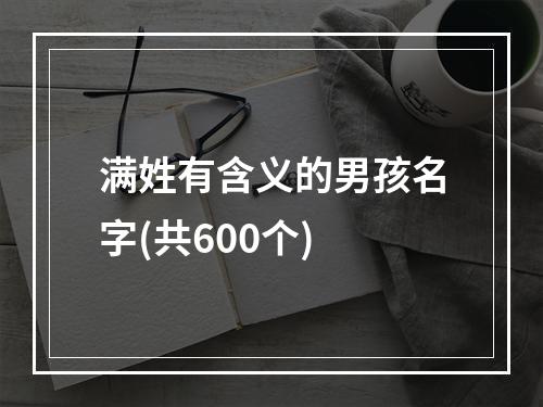 满姓有含义的男孩名字(共600个)