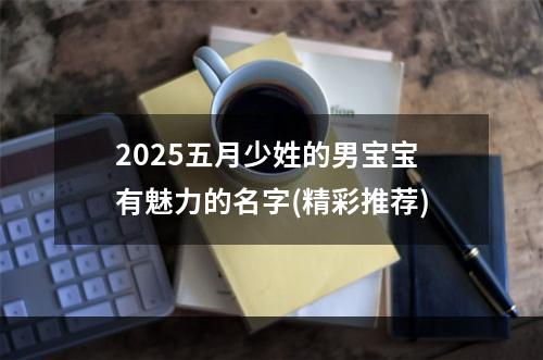 2025五月少姓的男宝宝有魅力的名字(精彩推荐)