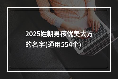 2025姓朝男孩优美大方的名字(通用554个)