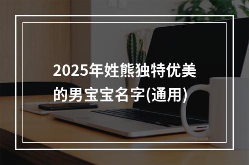 2025年姓熊独特优美的男宝宝名字(通用)