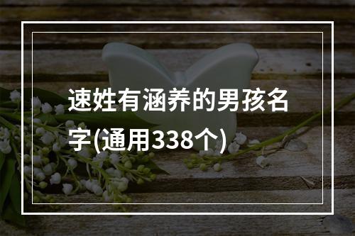 速姓有涵养的男孩名字(通用338个)