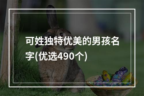 可姓独特优美的男孩名字(优选490个)