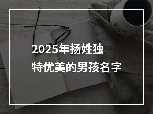 2025年扬姓独特优美的男孩名字
