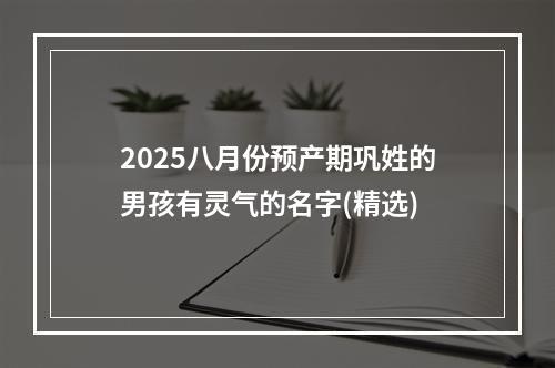 2025八月份预产期巩姓的男孩有灵气的名字(精选)