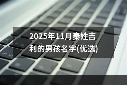 2025年11月秦姓吉利的男孩名字(优选)