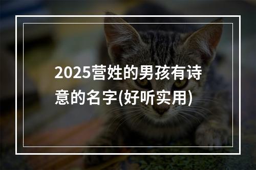 2025营姓的男孩有诗意的名字(好听实用)