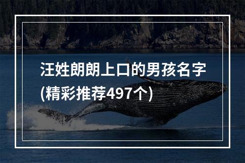 汪姓朗朗上口的男孩名字(精彩推荐497个)