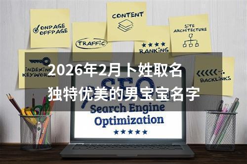 2026年2月卜姓取名独特优美的男宝宝名字