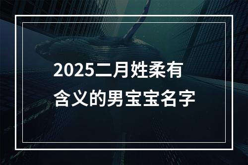 2025二月姓柔有含义的男宝宝名字