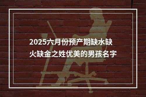 2025六月份预产期缺水缺火缺金之姓优美的男孩名字