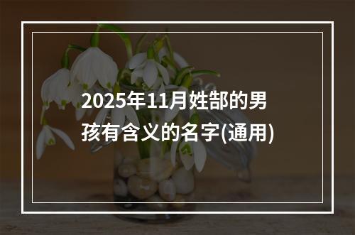 2025年11月姓郜的男孩有含义的名字(通用)