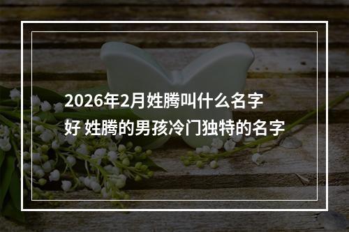 2026年2月姓腾叫什么名字好 姓腾的男孩冷门独特的名字