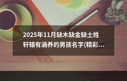2025年11月缺木缺金缺土姓轩辕有涵养的男孩名字(精彩推荐)