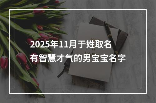 2025年11月于姓取名有智慧才气的男宝宝名字