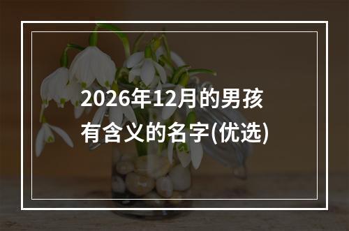 2026年12月的男孩有含义的名字(优选)