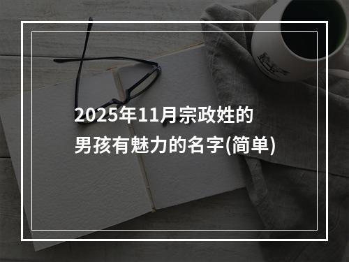 2025年11月宗政姓的男孩有魅力的名字(简单)