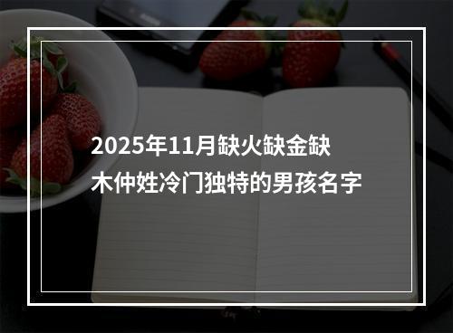 2025年11月缺火缺金缺木仲姓冷门独特的男孩名字