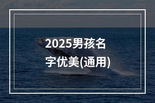 2025男孩名字优美(通用)