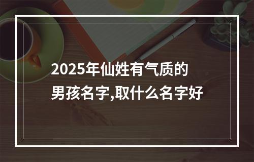 2025年仙姓有气质的男孩名字,取什么名字好