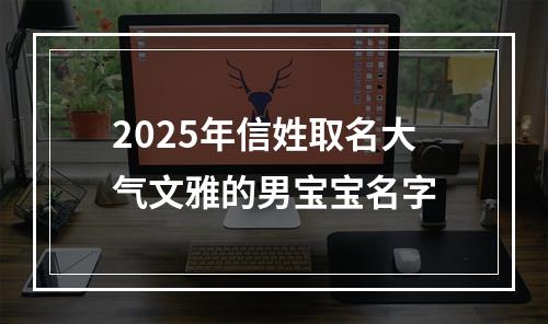 2025年信姓取名大气文雅的男宝宝名字