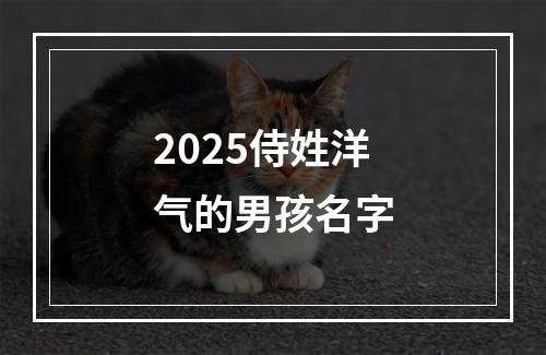 2025侍姓洋气的男孩名字
