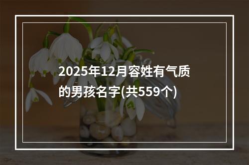 2025年12月容姓有气质的男孩名字(共559个)