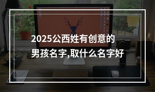 2025公西姓有创意的男孩名字,取什么名字好