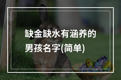 缺金缺水有涵养的男孩名字(简单)