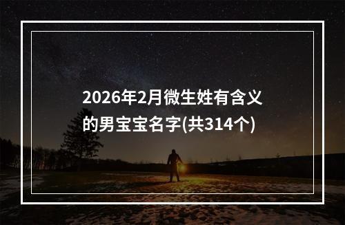 2026年2月微生姓有含义的男宝宝名字(共314个)