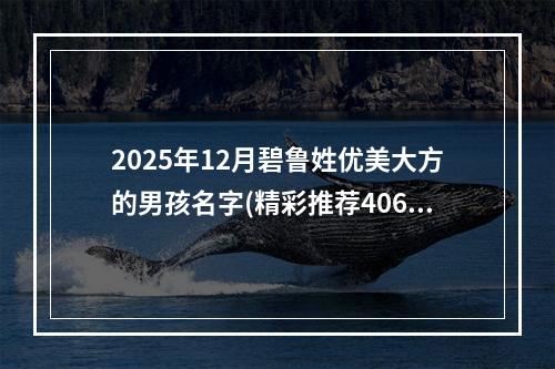 2025年12月碧鲁姓优美大方的男孩名字(精彩推荐406个)