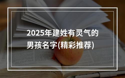 2025年建姓有灵气的男孩名字(精彩推荐)