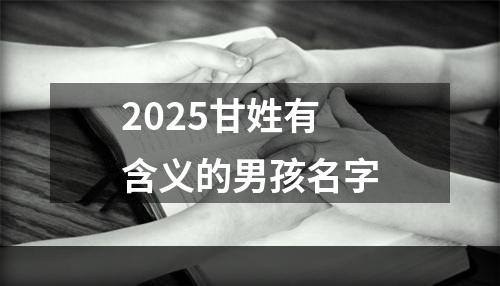 2025甘姓有含义的男孩名字