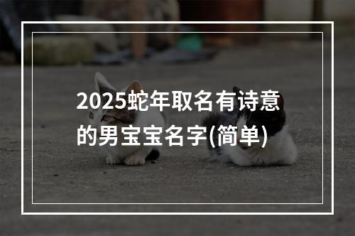 2025蛇年取名有诗意的男宝宝名字(简单)