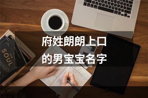 府姓朗朗上口的男宝宝名字