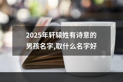 2025年轩辕姓有诗意的男孩名字,取什么名字好
