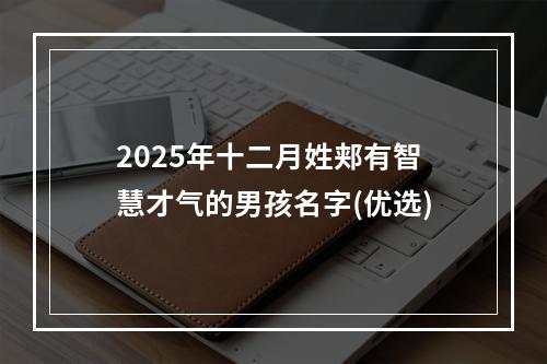 2025年十二月姓郏有智慧才气的男孩名字(优选)