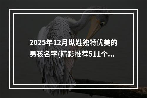 2025年12月纵姓独特优美的男孩名字(精彩推荐511个)
