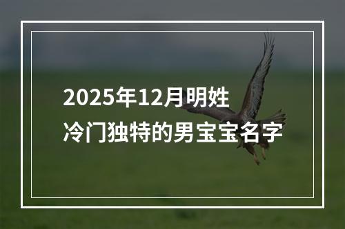 2025年12月明姓冷门独特的男宝宝名字