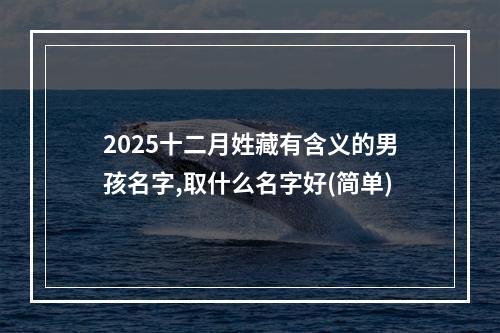 2025十二月姓藏有含义的男孩名字,取什么名字好(简单)