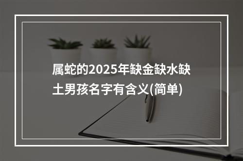 属蛇的2025年缺金缺水缺土男孩名字有含义(简单)