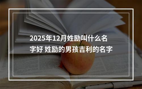2025年12月姓励叫什么名字好 姓励的男孩吉利的名字