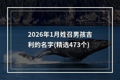 2026年1月姓召男孩吉利的名字(精选473个)