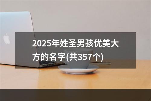 2025年姓圣男孩优美大方的名字(共357个)
