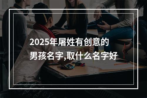 2025年屠姓有创意的男孩名字,取什么名字好