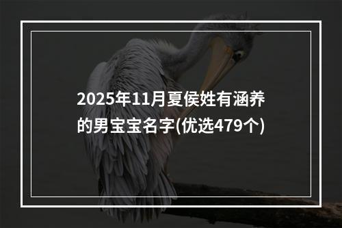 2025年11月夏侯姓有涵养的男宝宝名字(优选479个)