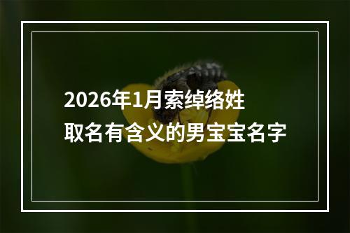 2026年1月索绰络姓取名有含义的男宝宝名字