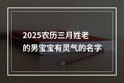2025农历三月姓老的男宝宝有灵气的名字